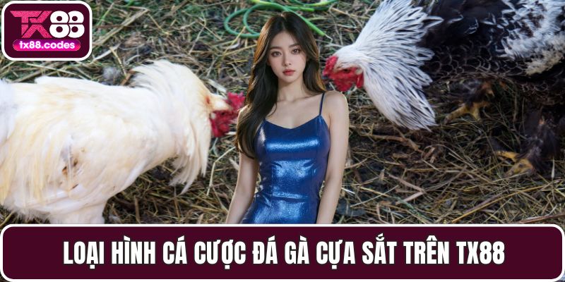 Đá Gà TX88 - Đỉnh Cao Cá Cược Với Những Trận Đấu Gay Cấn - SPINNOVA88
