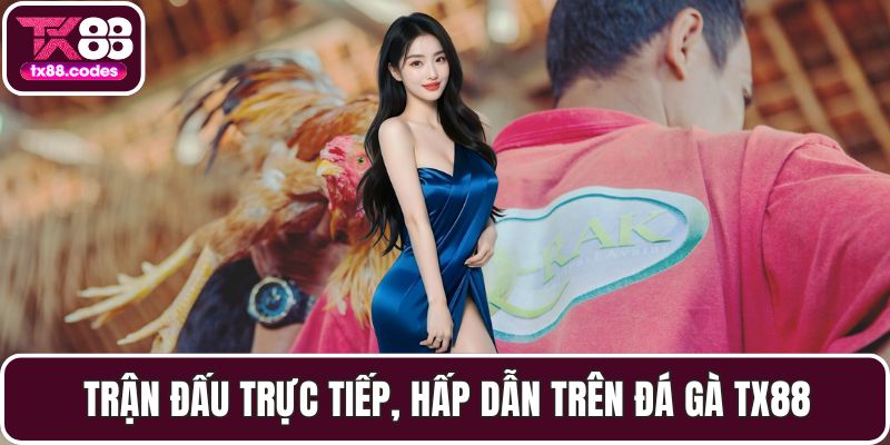 Đá Gà TX88 - Đỉnh Cao Cá Cược Với Những Trận Đấu Gay Cấn - SPINNOVA88